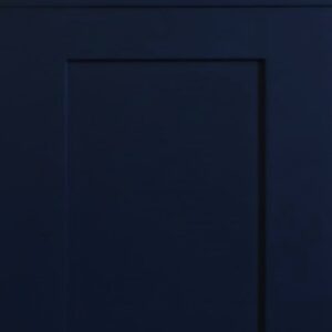 Limited Shaker Painted Blue